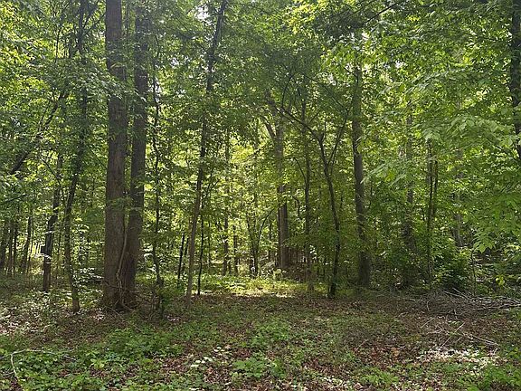 2nd image of 12778 Riverton Rose Trl #Tl