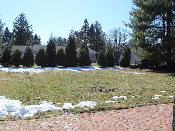 Large, flat backyard