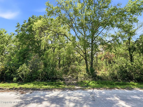 3rd image of 100 Fern St