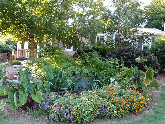 Fern & flower beds in front