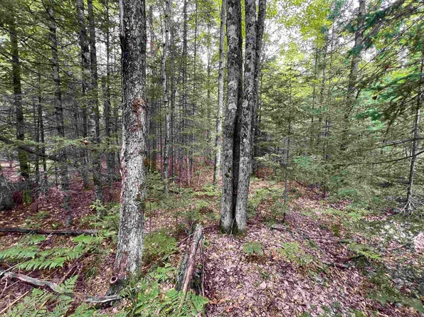 Bruette Rd #3, Wausaukee, WI 54177