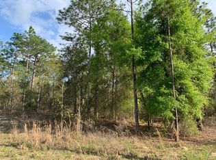 1219 Baden Powell Rd, Hawthorne, FL 32640