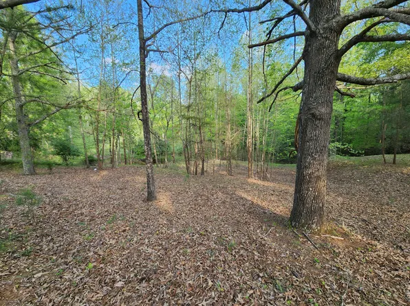 14 Bailey Blvd, Hardy, VA 24101