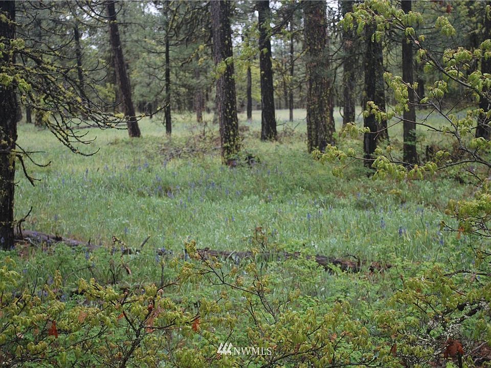 2nd image of 0 Highway 97