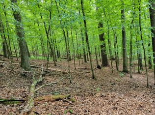 Bethel Rd, Fort Gaines, GA 39851