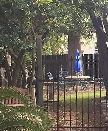 5th image of 3624 Cypress St