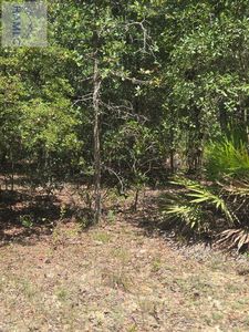 NE Jones Rd, Glennville, GA, 30427