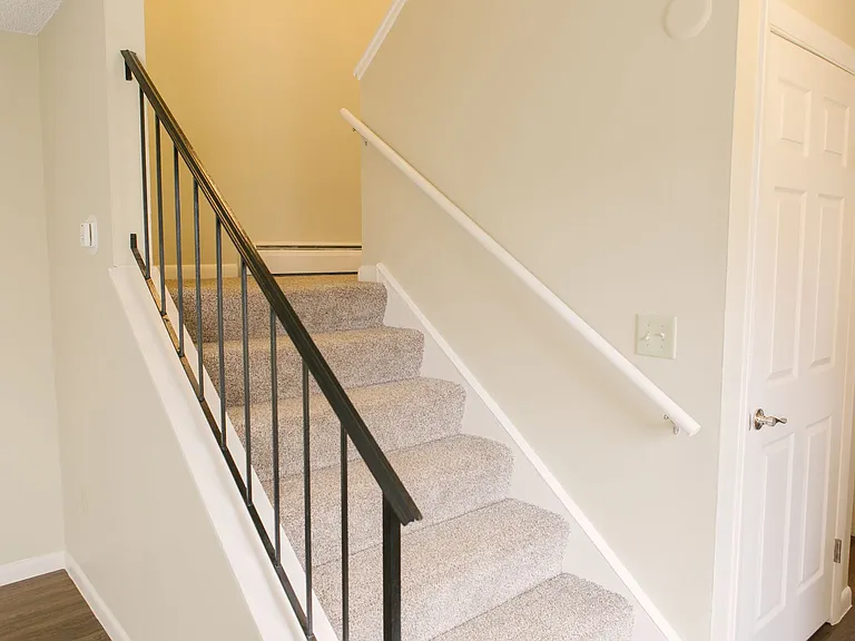 Carpeted Stairs