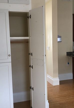 Floor to ceiling closet storage in living room