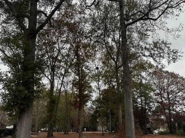 254 Ridge Lake Dr, Manning, SC 29102