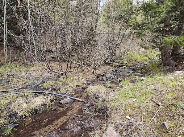 13 Garnet Range Rd, Drummond, MT 59832