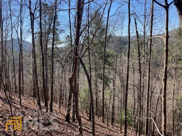 1775 Jason Ct, Ranger, GA 30734