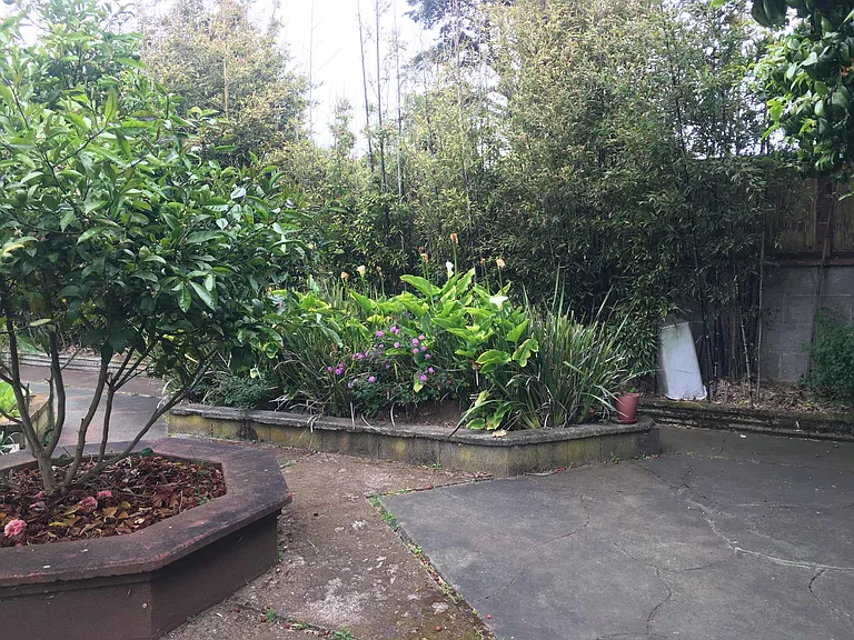 Sagamore St — Photo 9