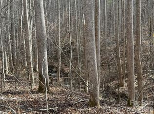 0 Martins Creek Rd, Barnardsville, NC 28709