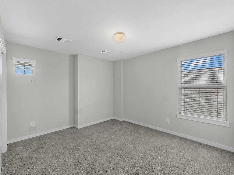 1907 Scarlet Yaupon Way — Photo 24