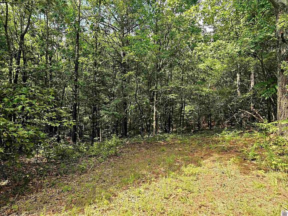5th image of 0 Vicksburg Rd