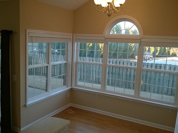 View of the back yard