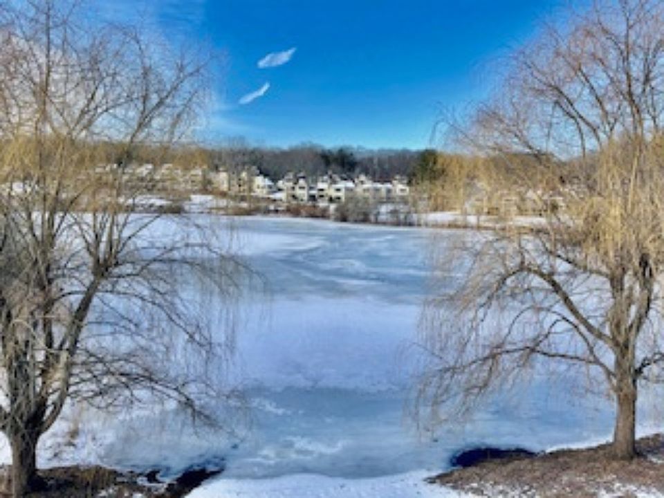 1st image of 903 Oakridge Common