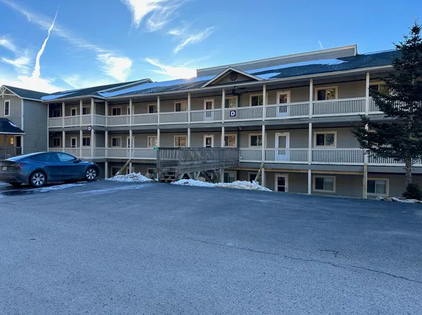 203D Summit Dr, Snowshoe, WV 26209