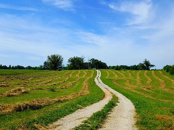 Front 5 acres ready to bale