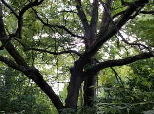 1849 N Mountain Lake Rd, Albion, IN 46701