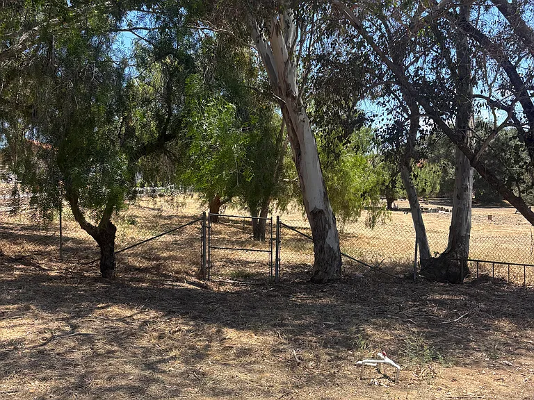 Direct access to miles of nature trails right from property