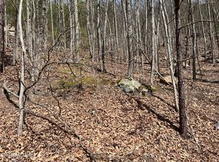 Clingmans Vw Lot 18, Sevierville, TN 37876