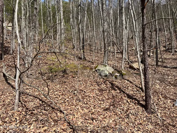 Clingmans Vw Lot 18, Sevierville, TN 37876