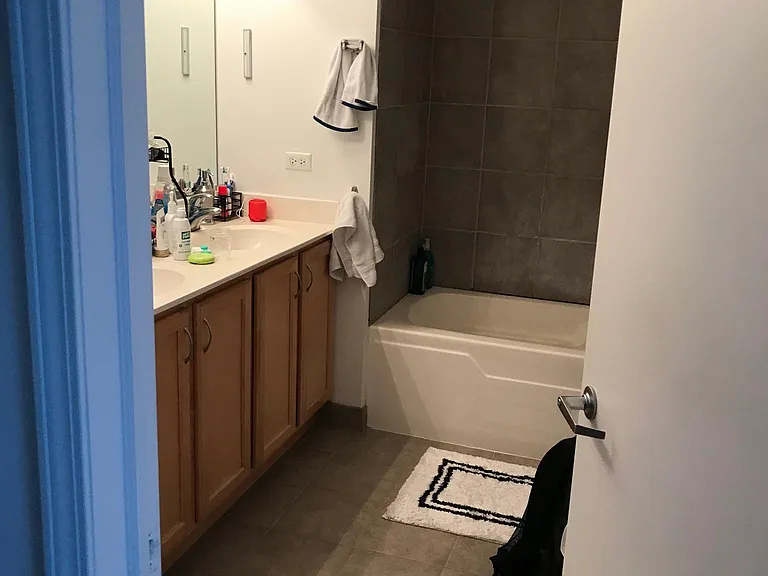 1717 S Prairie Ave #907 — Photo 23