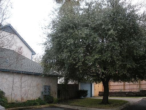 3rd image of 13020 Trent St #13020