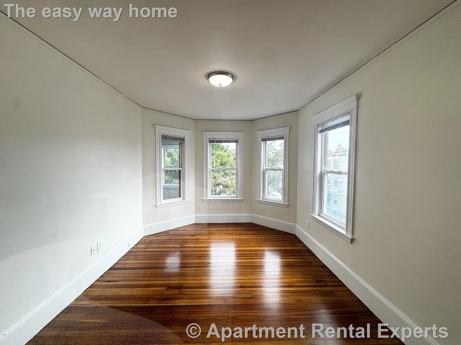 2 bed, 1.0 bath, $3,000 — Photo 3