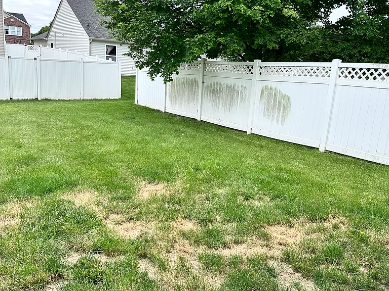 15162 Beam St — Photo 18