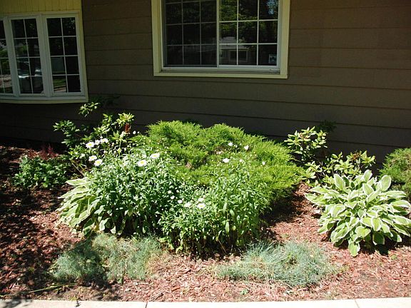 5th image of 2027 Cambridge Dr SE