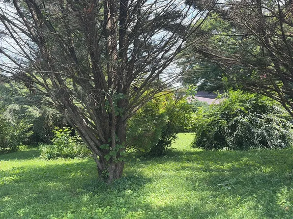 124 Roy Rd, Cosby, TN 37722