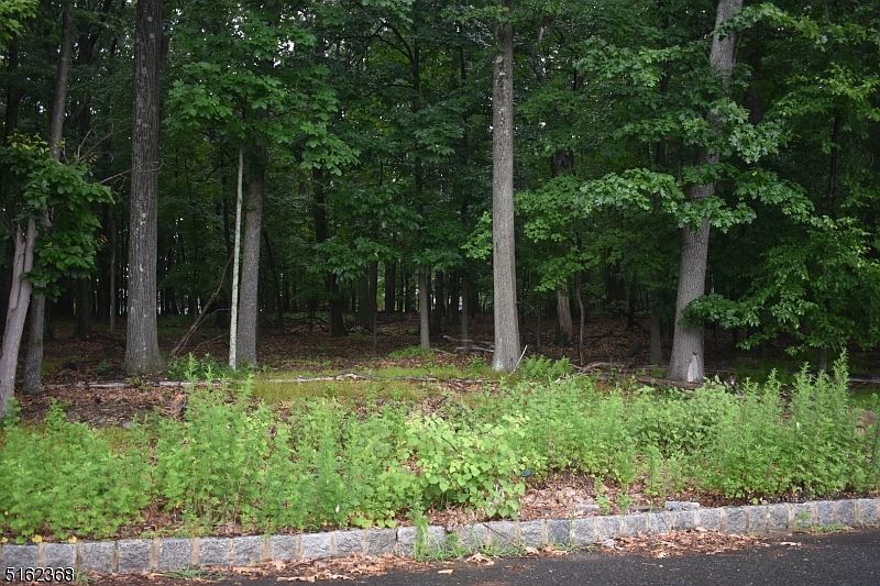 1st image of 6 Violet St