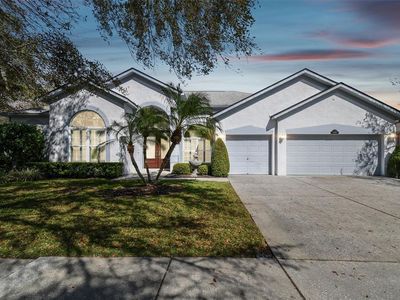15209 Hammock Chase Ct, Odessa, FL, 33556