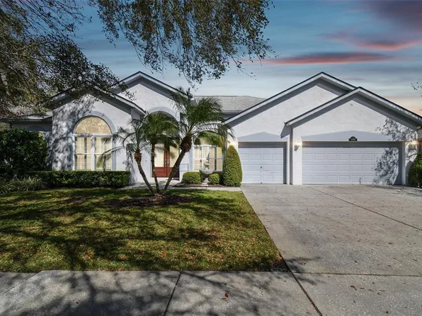 15209 Hammock Chase Ct, Odessa, FL 33556