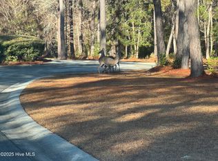 608 Pontalba Dr SW, Supply, NC 28462