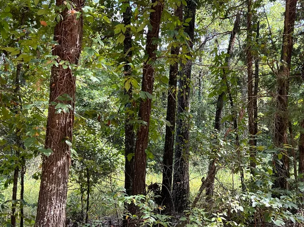 000 County Road F-147, Alton, MO 65606
