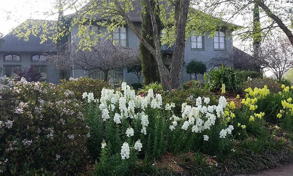 6310 Tennyson Oaks Ln, Alexandria, LA 71301 MLS 2405234 Zillow