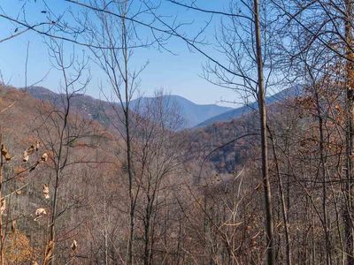 Tbd Crabtree Falls Hwy, Tyro, VA, 22976