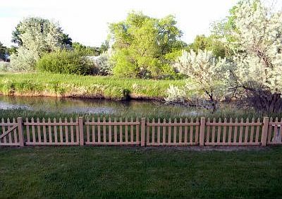 Canal with plenty of birds, ducks, and highland game birds.