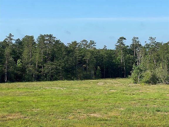 0 County Road 3000, Doucette, TX 75942 | MLS #14139837 | Zillow