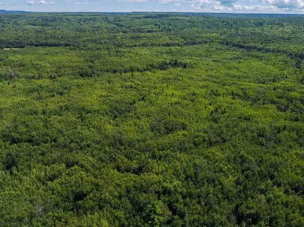 40 Acres Near State Hwy 13, Herbster, WI 54844