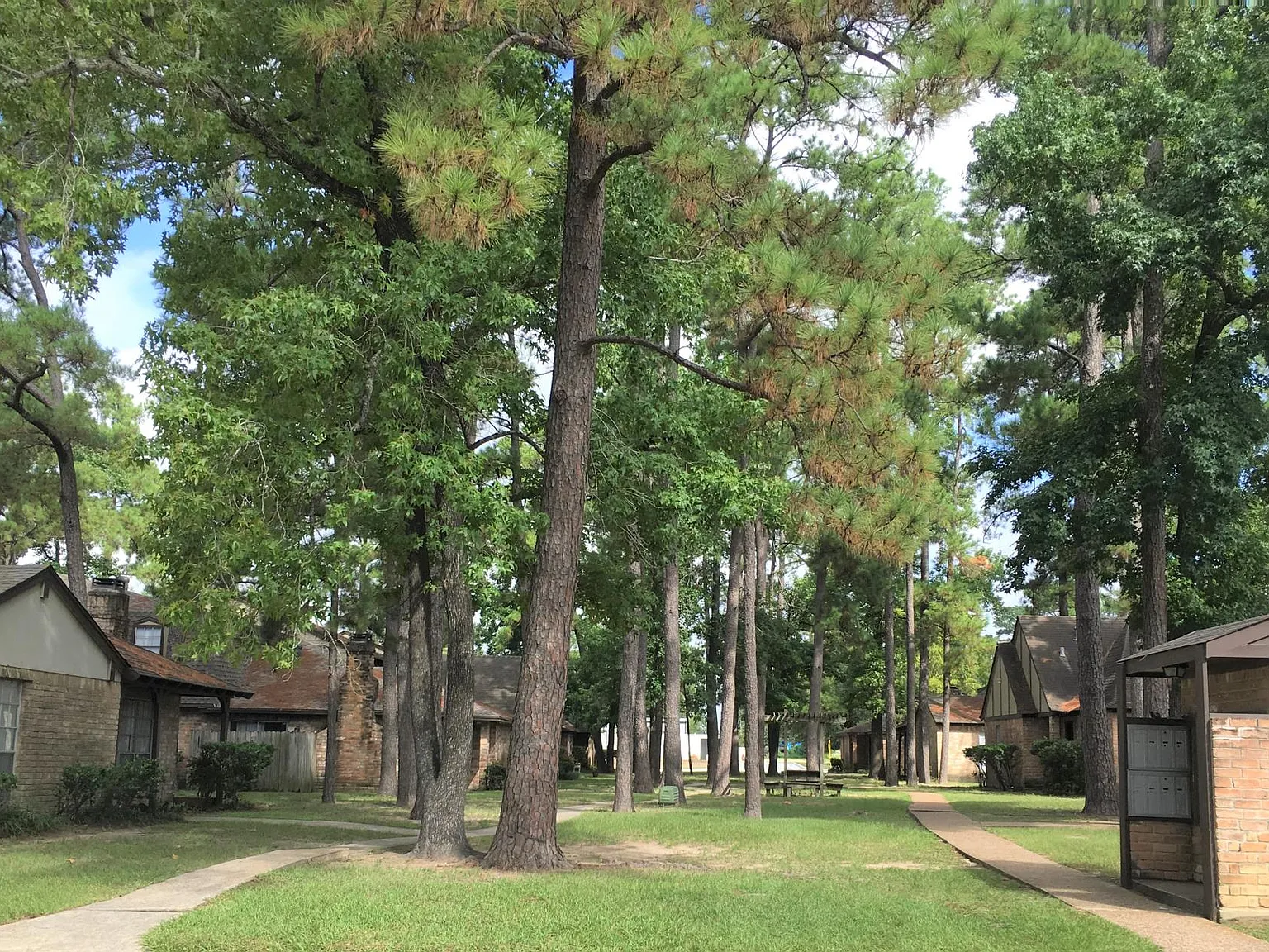 Pinewood Townhomes — Photo 3