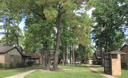 Pinewood Townhomes Photo 1