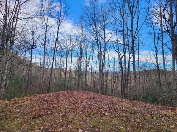 0 Willis Cove Rd, Franklin, NC 28734