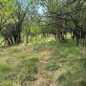 TRACT 19 Ac Cres #150, Abilene, TX, 79601
