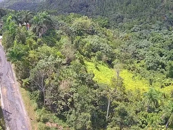 Parcela De Terreno 60 Estancias La Sierra S #Ii-bo, Aguas Buenas, PR 00703