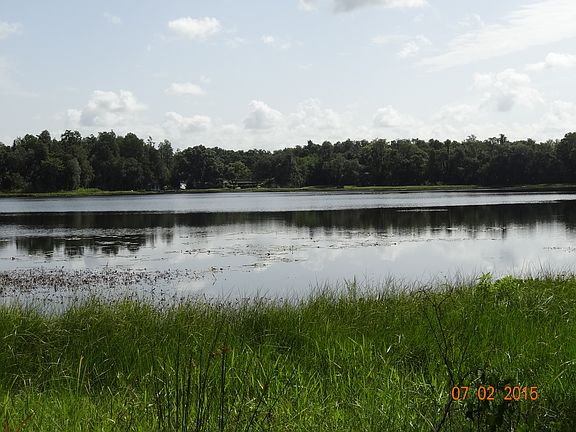 4th image of 15412 Lake Magdalene Blvd